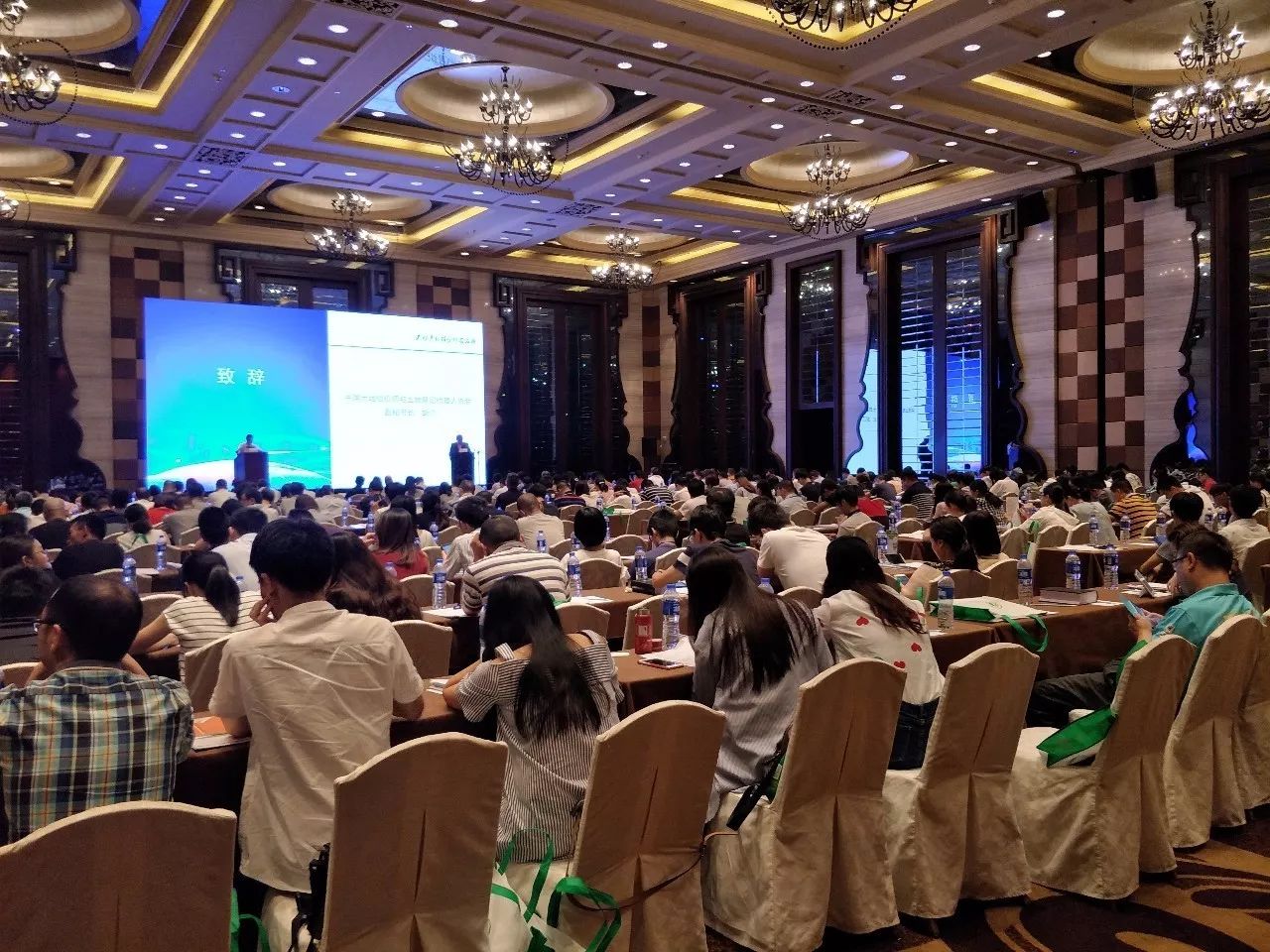 1571970725472962.jpg 0009.jpg