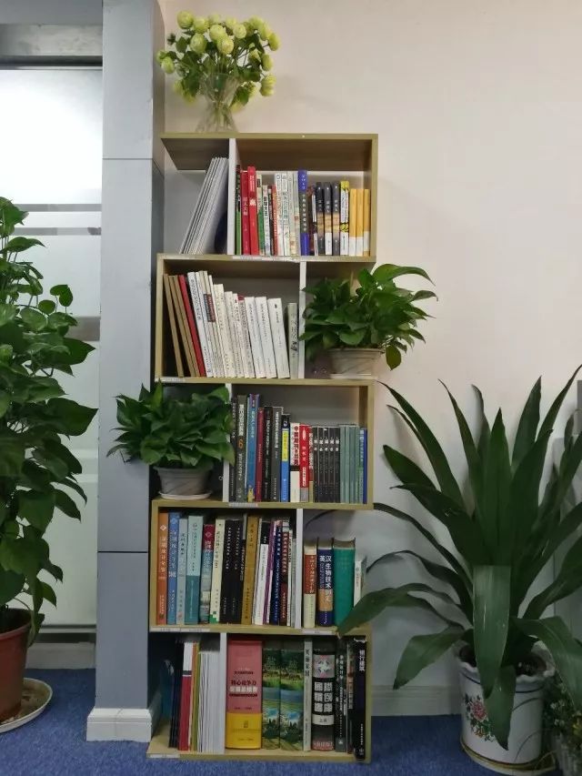 1572510137136595.jpg 0006.jpg